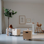 Nofred Birch Cube Storage in the living room