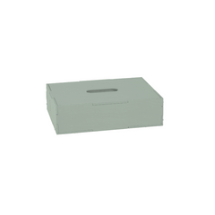 A light sage green rectangular storage box with a recessed handle on top, shown on a plain white background.