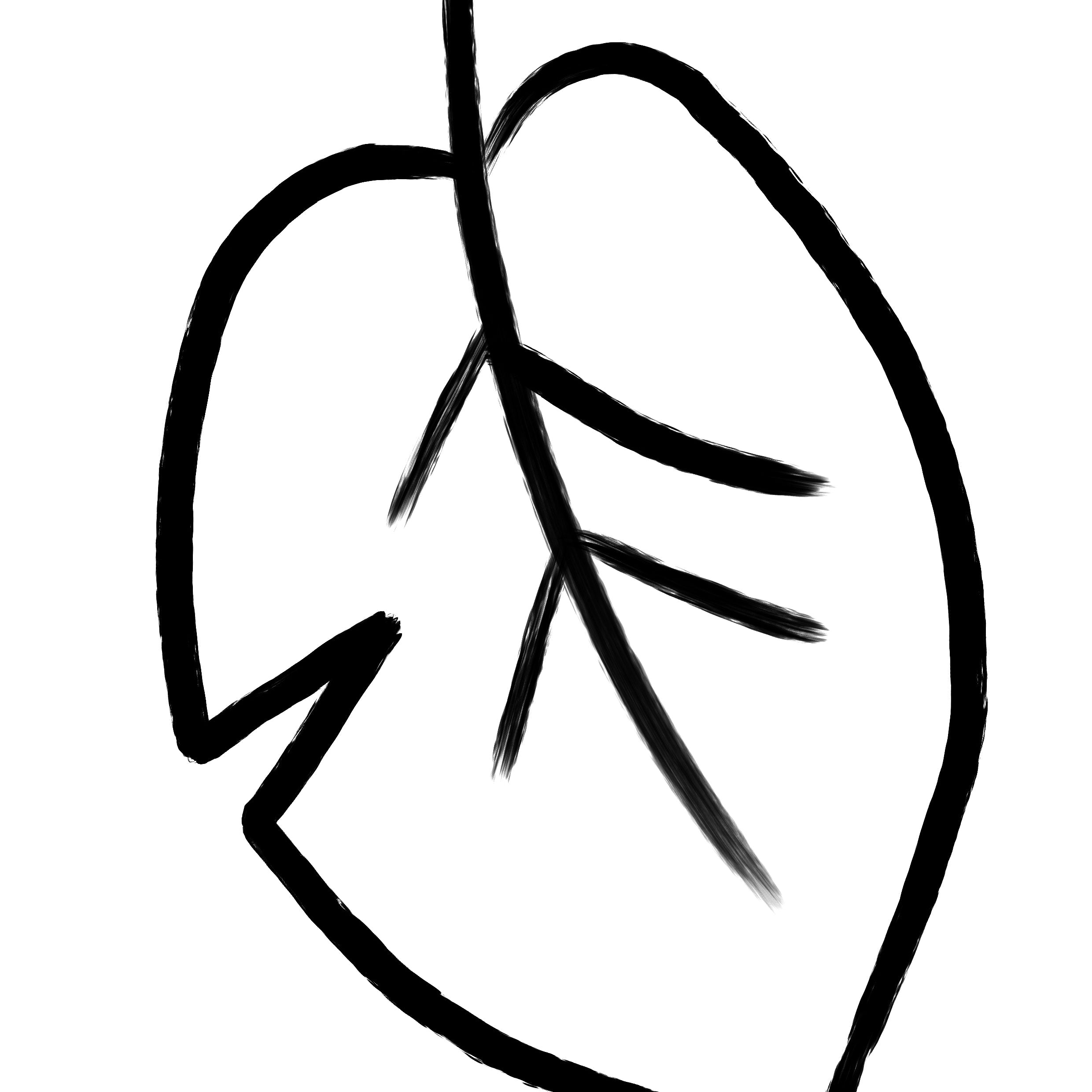 A simple black line drawing of a leaf on a plain white background.