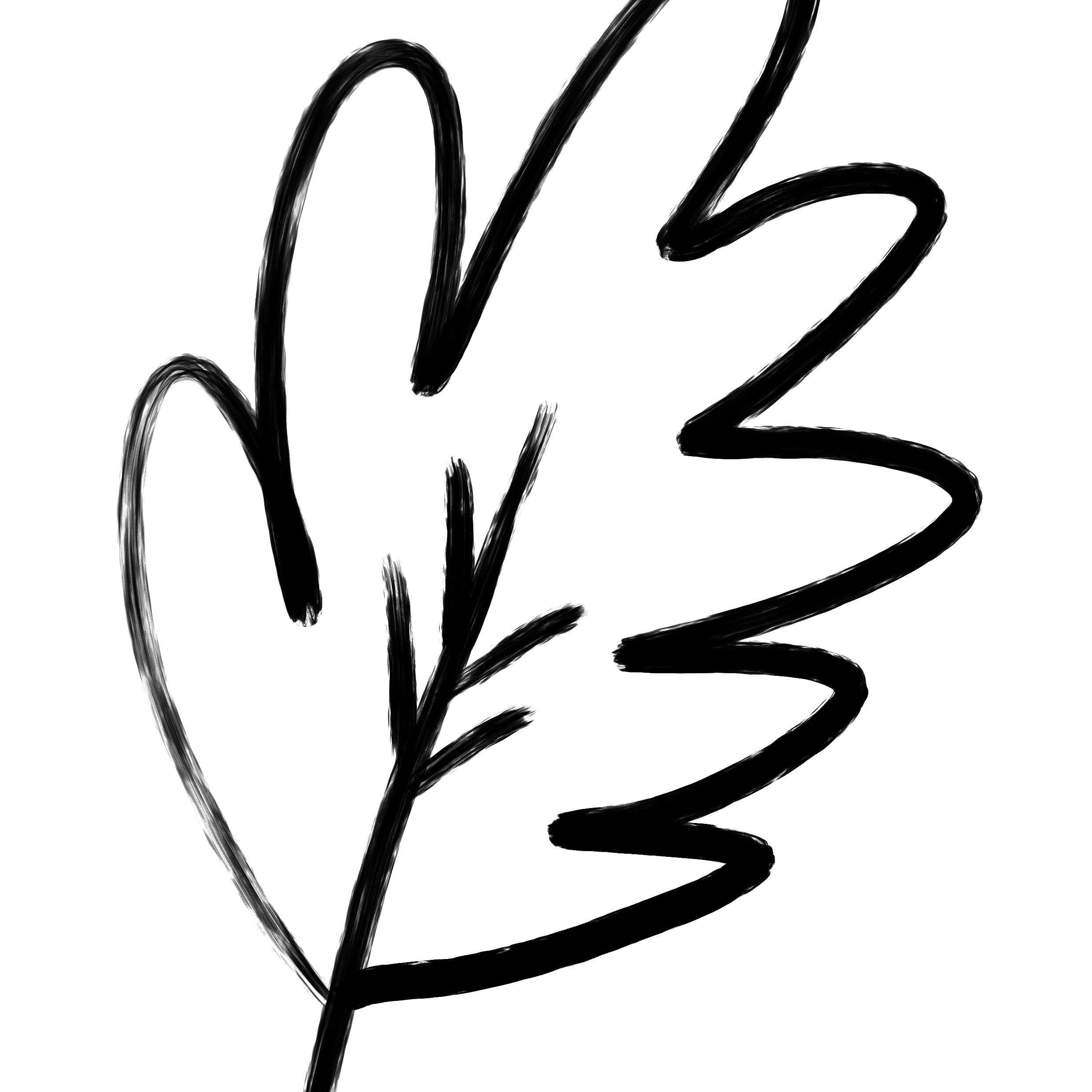 A black ink sketch of a single leaf with a stem, centered on a plain white background.