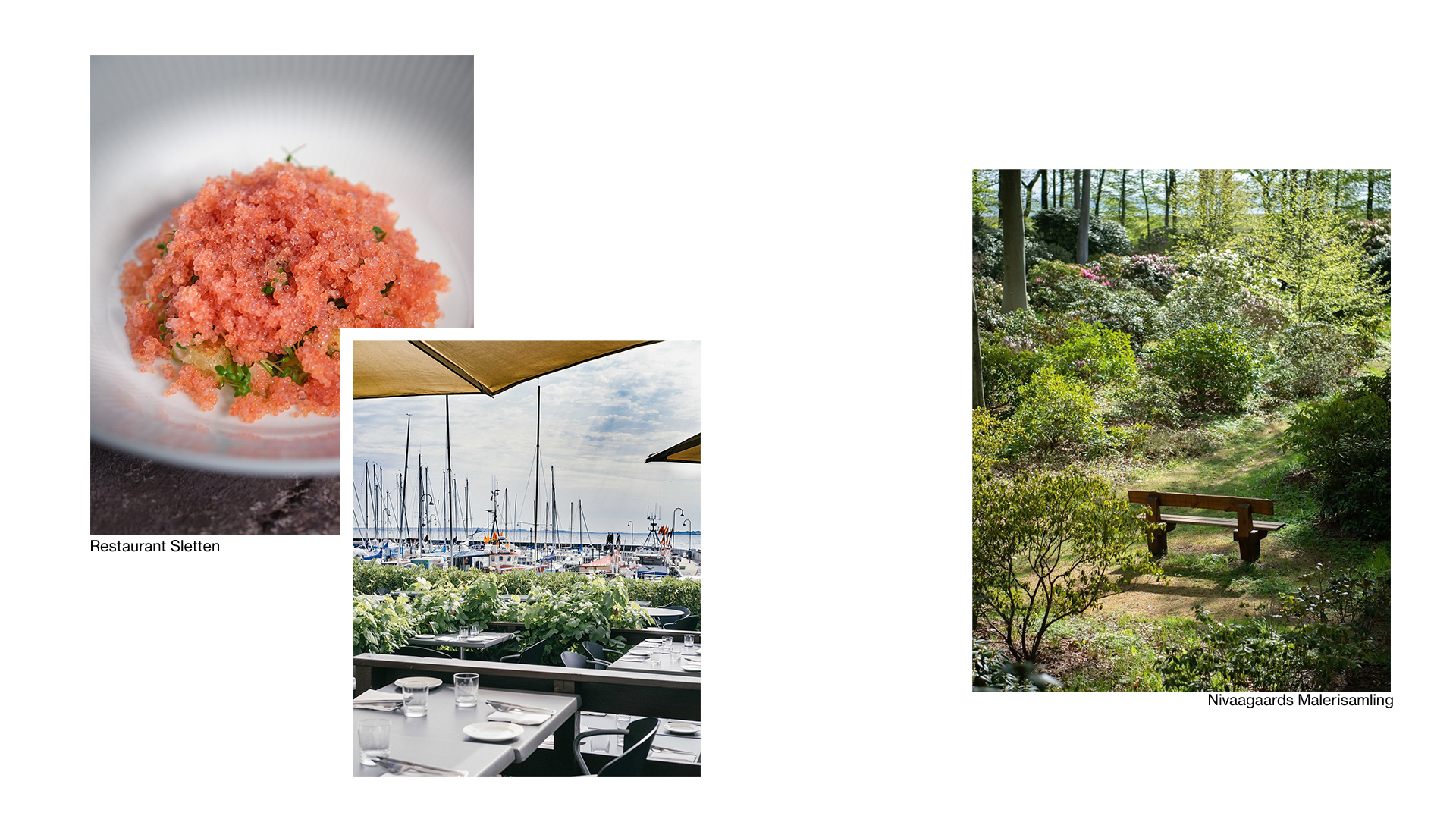Collage of images including a dish, marina, and garden.