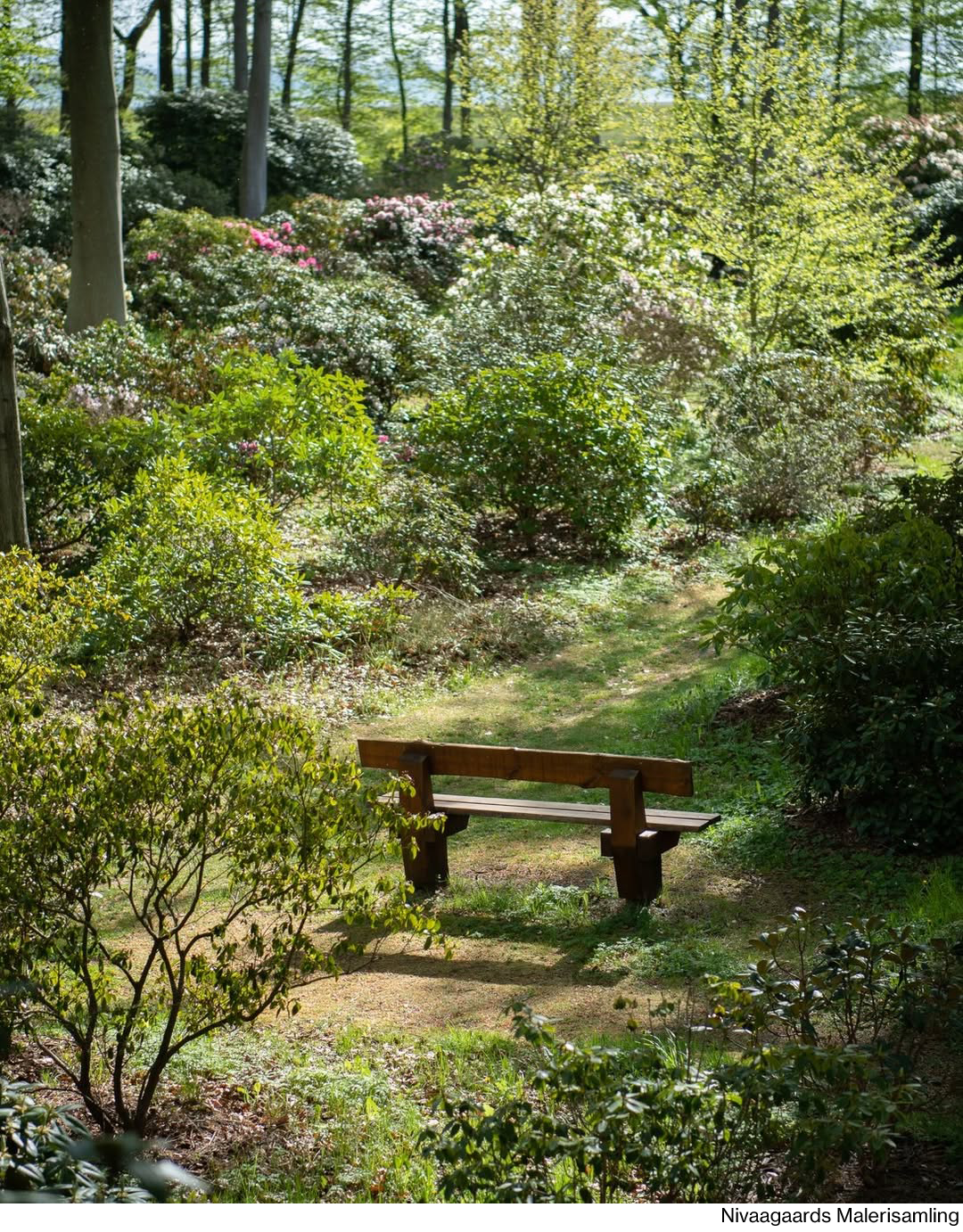 Wooden bench in a serene garden setting with greenery and trees.