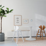 Modern dining area with a plant, table, and chairs against a white wall.