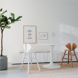 Modern dining area with a plant, table, and chairs against a white wall.
