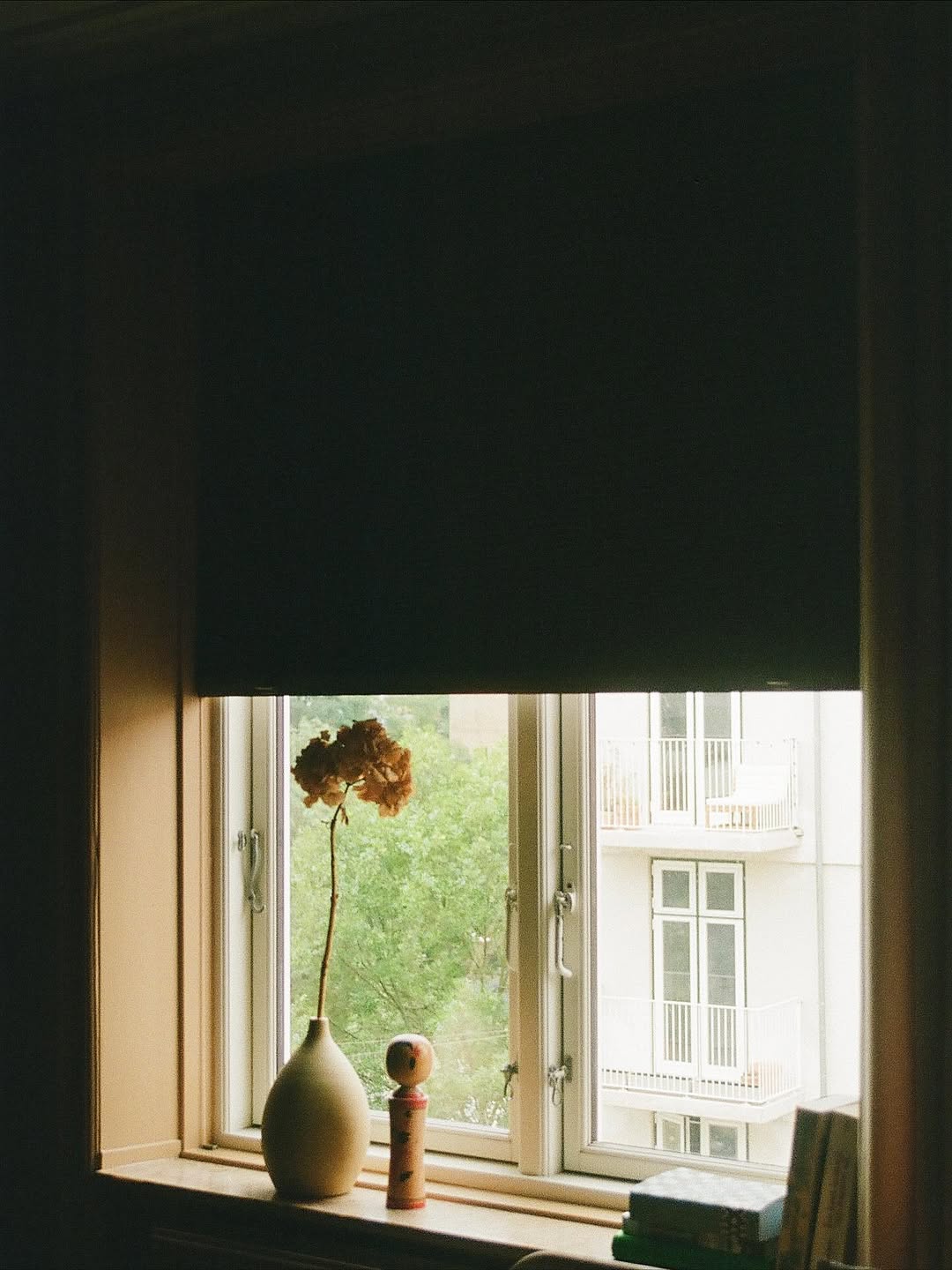 Window with open blind, showing a view of a building and greenery outside.