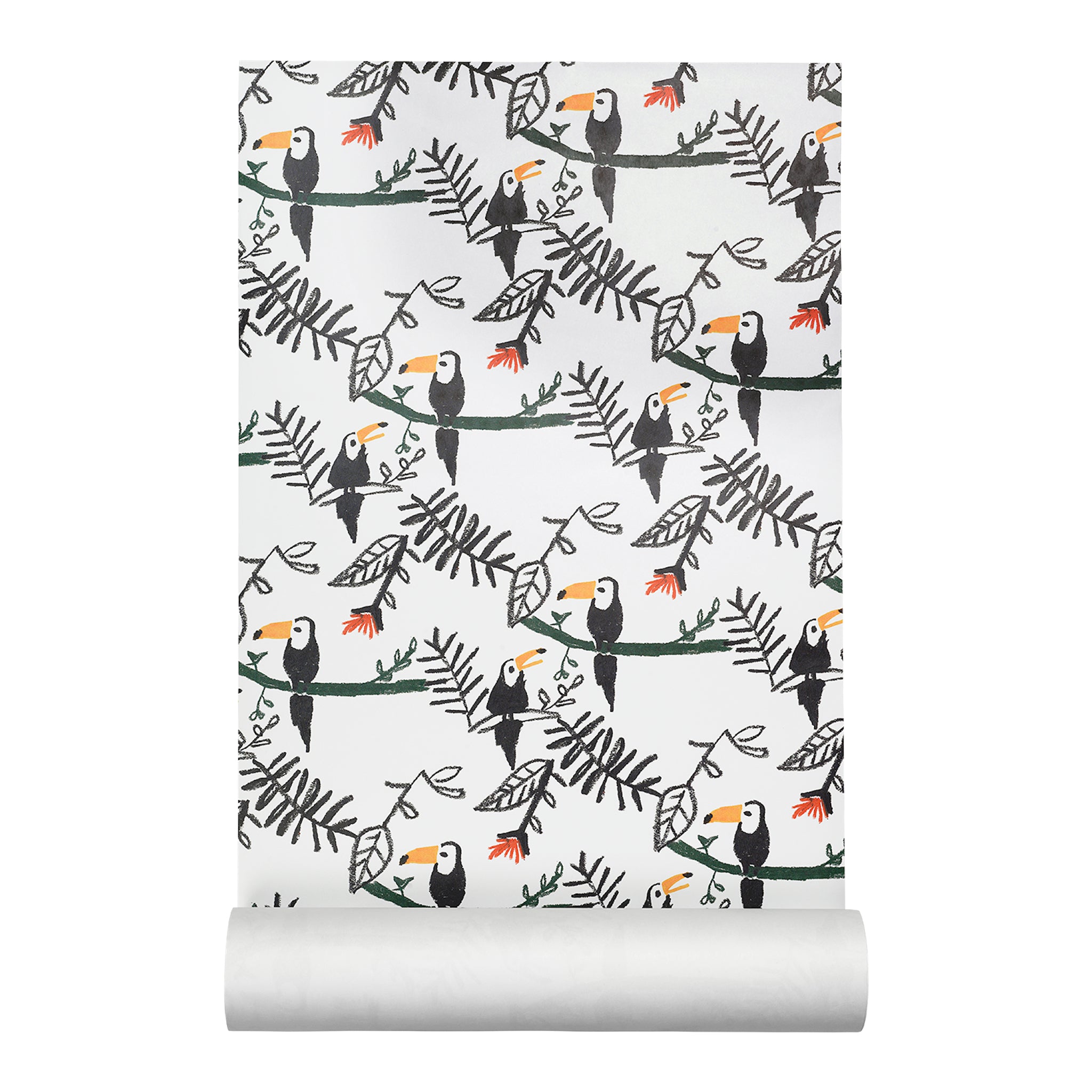 Nofred Toucan Kids Wallpaper 