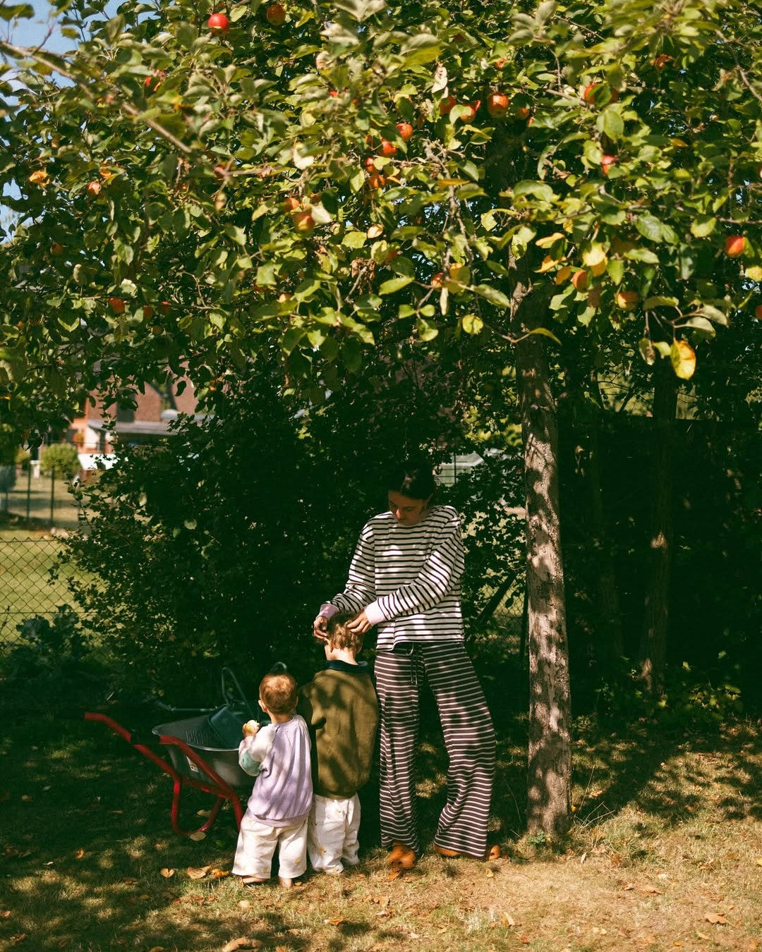 Person and children under an apple tree with a wheelbarrow nearby