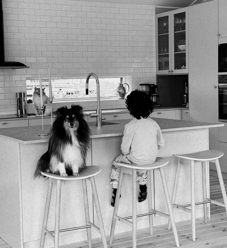 Person and dog sitting on stools in a kitchen