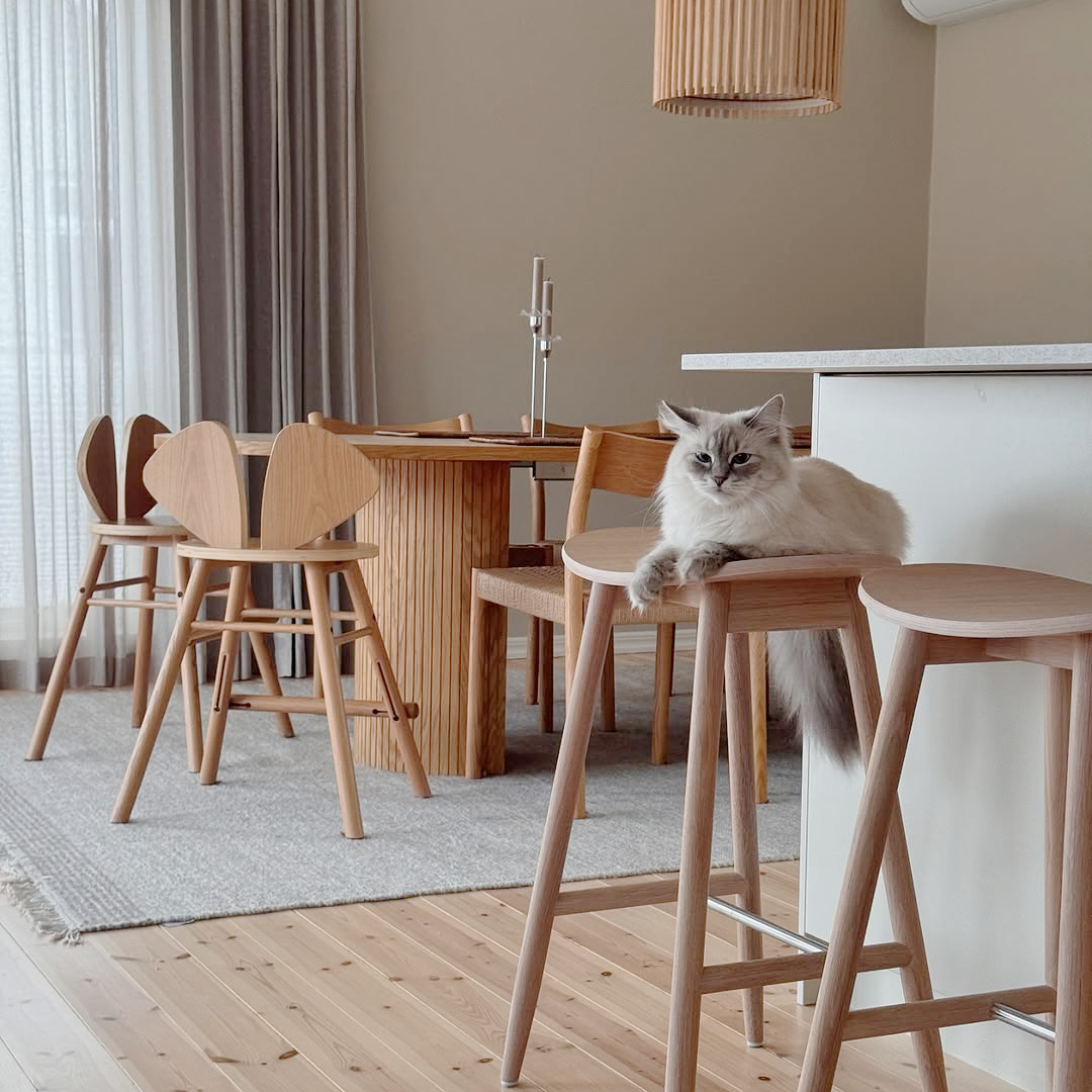 Cat sitting on a wooden bar stool in a modern kitchen with wooden flooring and neutral decor.
