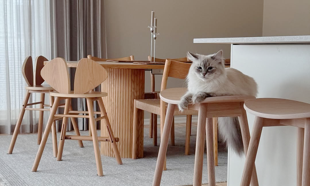 Cat sitting on a wooden bar stool in a modern kitchen with wooden flooring and neutral decor.