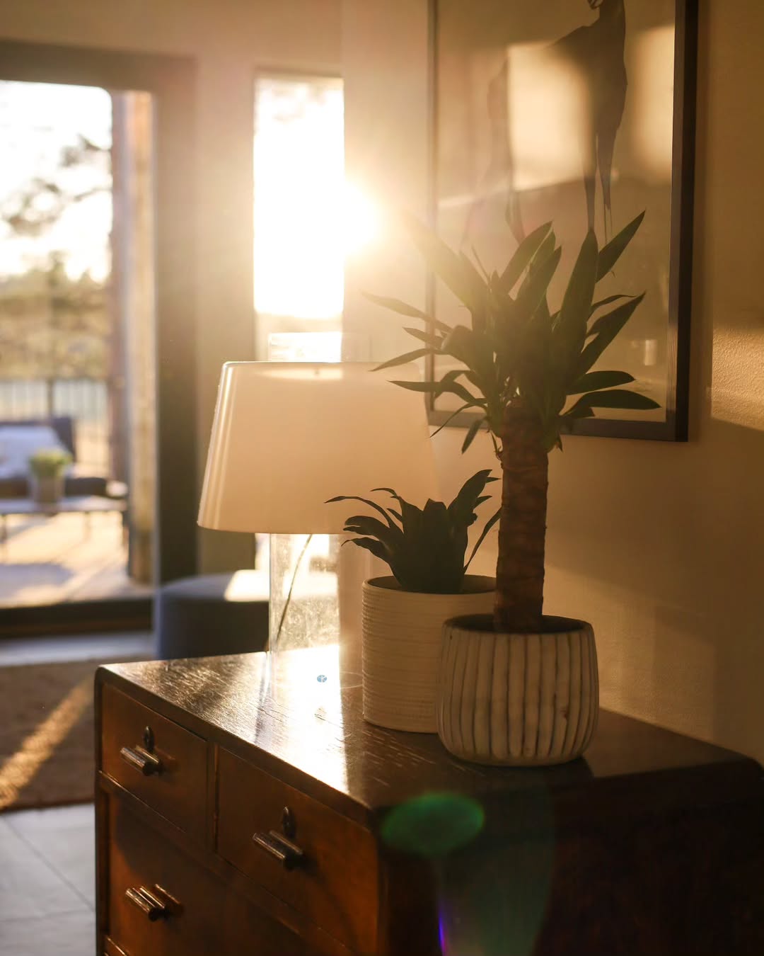 Lamp and potted plants on a wooden surface with a blurred background