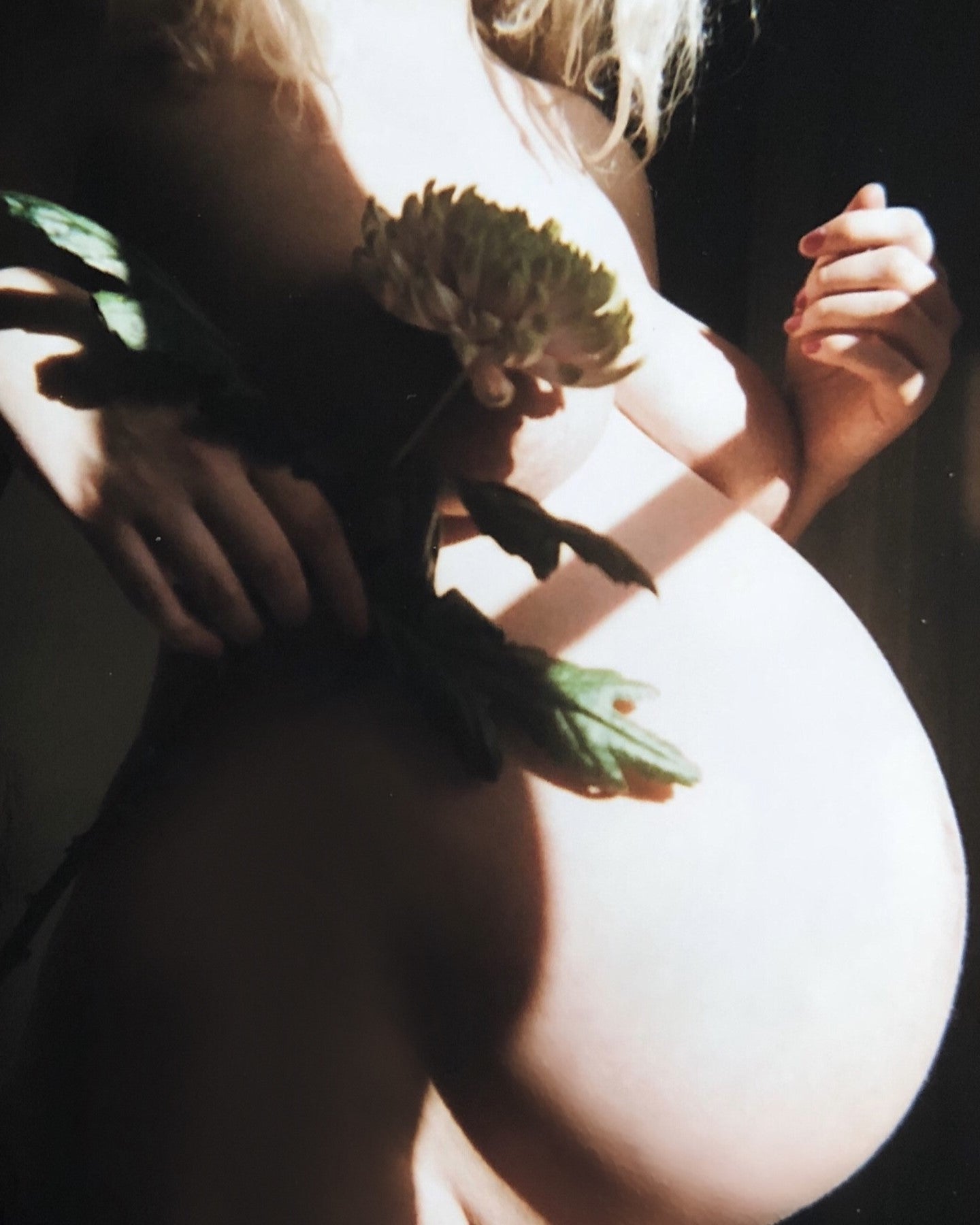 Person holding a dried flower with a soft focus background