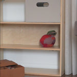 Kiddo Shelving system with Kiddo Boxes