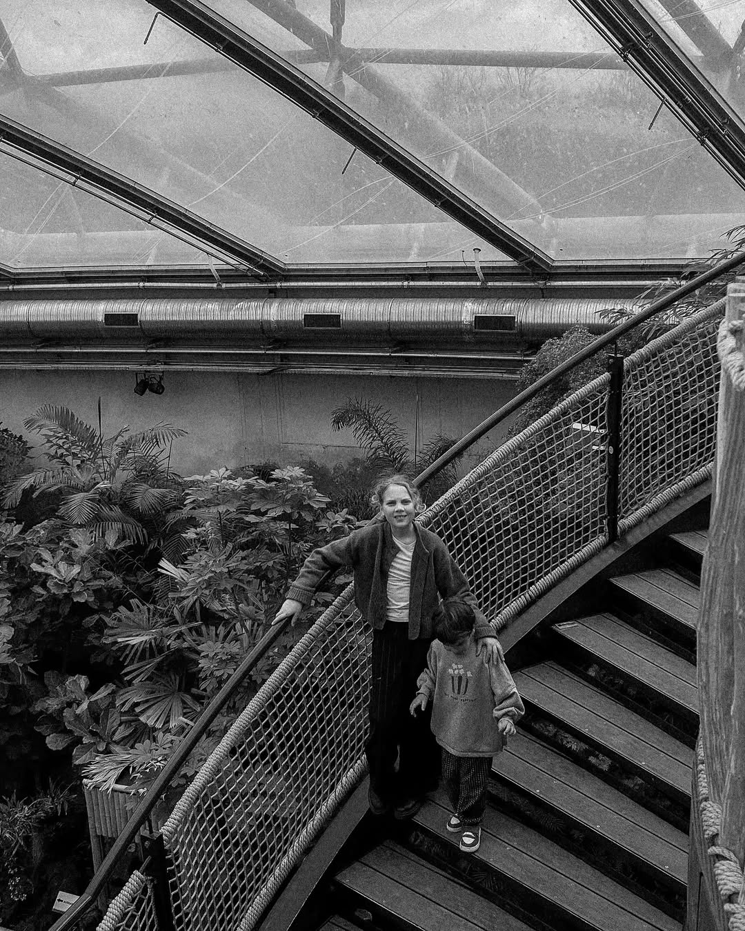 Two people walking on a staircase in a greenhouse with plants and glass ceiling.
