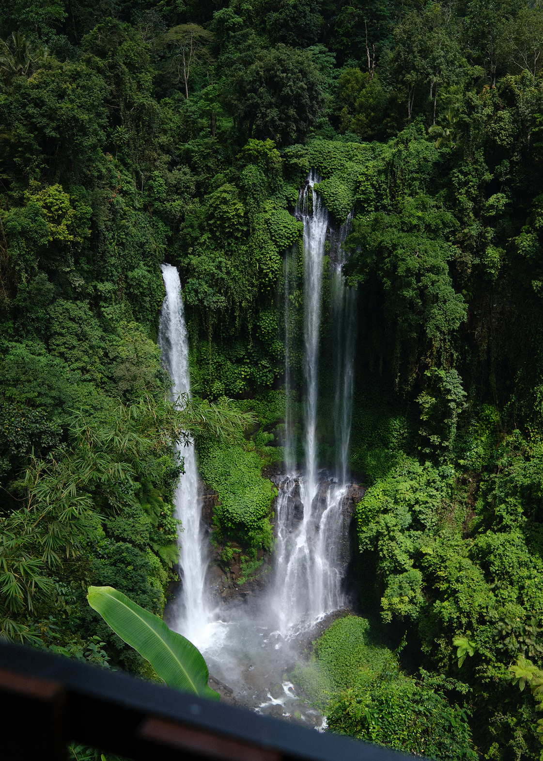 Two waterfalls surrounded by lush greenery in a tropical forest.