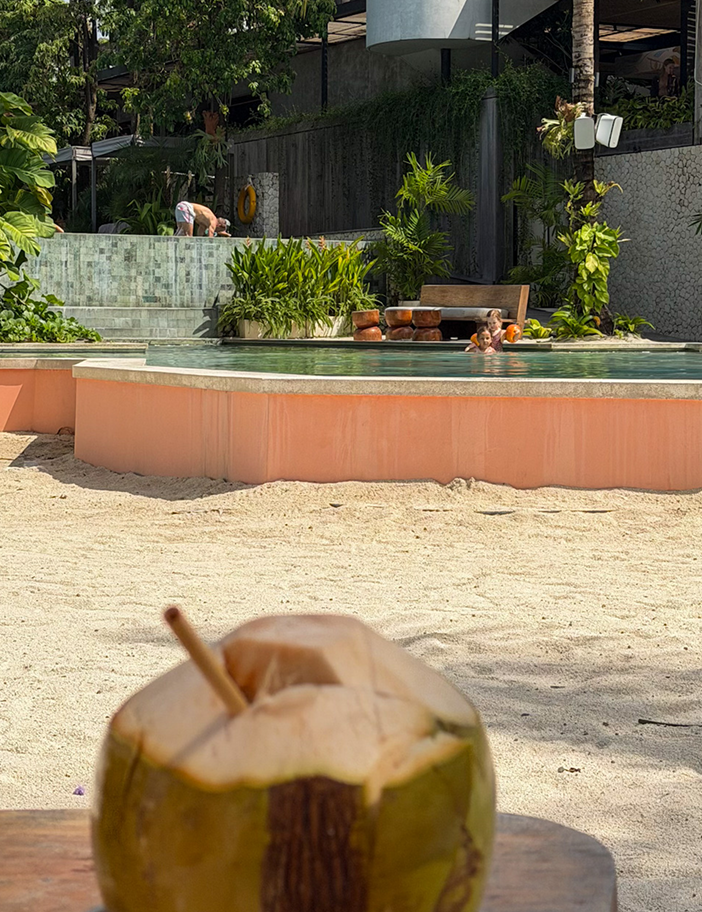 Coconut on a table with a pool and garden in the background