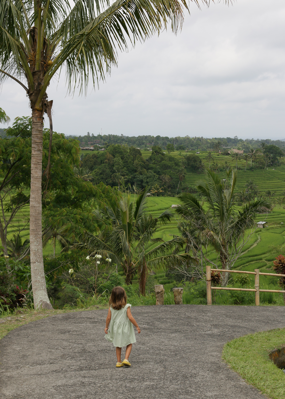 Child standing on a path surrounded by lush greenery and palm trees.