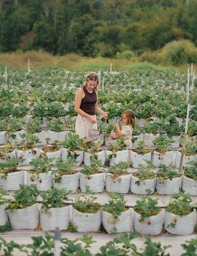 Two people in a field of plants in pots, surrounded by greenery.