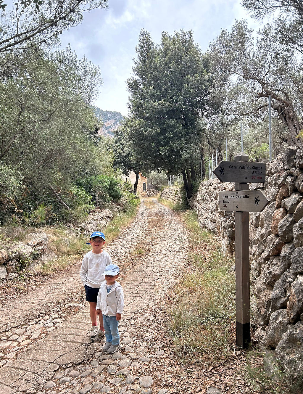 Two children standing on a cobblestone path outdoors, with trees, a stone wall, and a wooden trail signpost visible in the scene.